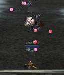 tegusan08.jpg