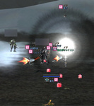 tegusan09.jpg