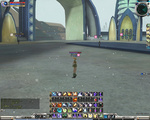 tegusan16.jpg